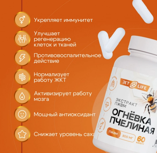 Огнёвка пчелиная, ПЖВМ в капсулах 60 шт